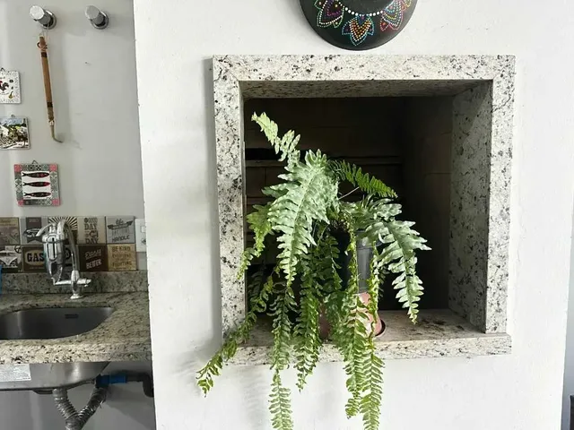 Imagem 5: Casa com 3 dormitórios sendo 1 suíte e 2 vagas de garagem - Bairro Campeche