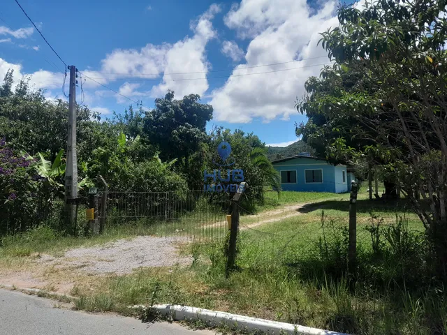 Imagem: Com 5.280M2, Pastagem e Árvores Frutíferas