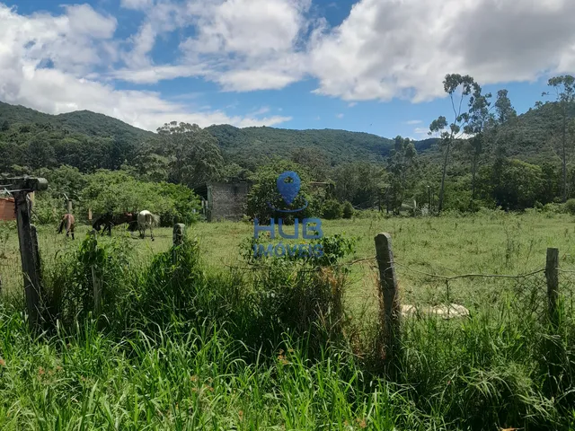 Imagem 2: Com 5.280M2, Pastagem e Árvores Frutíferas , Ratones - Florianópolis/Sc