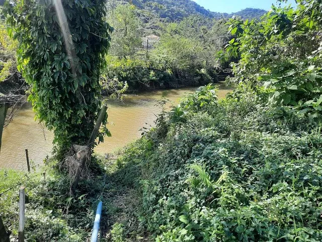 Imagem 16: Terreno à Venda, Plano, Nível da Rua, com 11.089 m2. Sul do Rio, Santo Amaro da