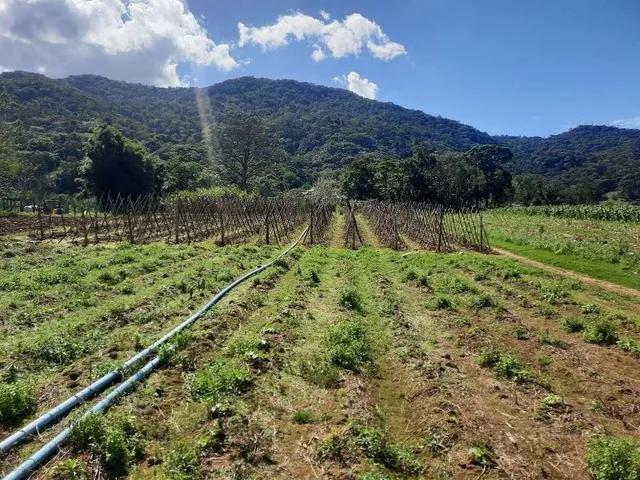 Imagem 3: Terreno à Venda, Plano, Nível da Rua, com 11.089 m2. Sul do Rio, Santo Amaro da