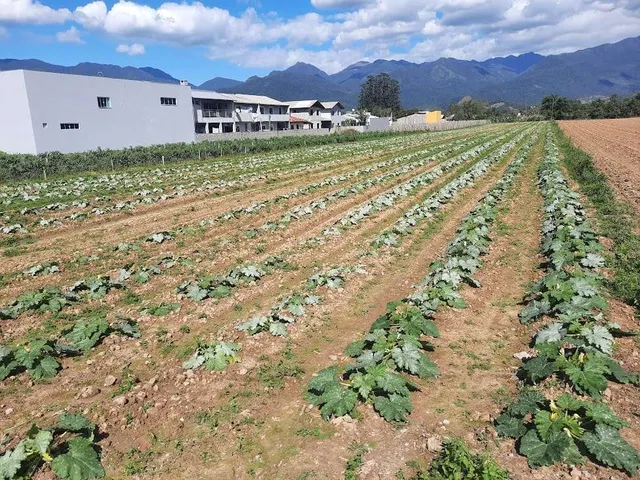 Imagem: Terreno à Venda, Plano, Nível da Rua