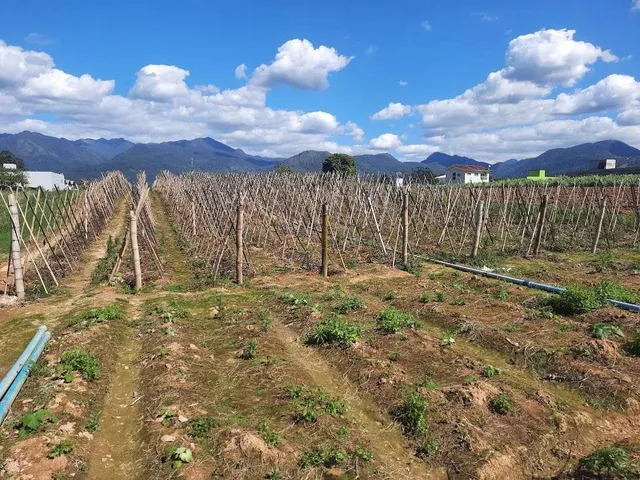 Imagem 4: Terreno à Venda, Plano, Nível da Rua, com 11.089 m2. Sul do Rio, Santo Amaro da