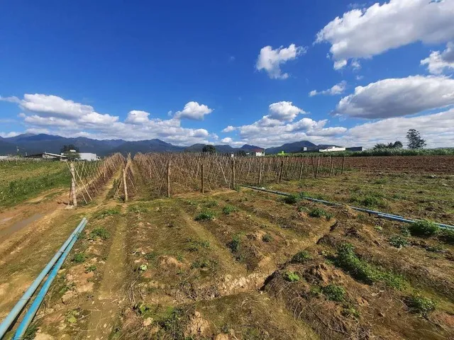 Imagem 13: Terreno à Venda, Plano, Nível da Rua, com 11.089 m2. Sul do Rio, Santo Amaro da