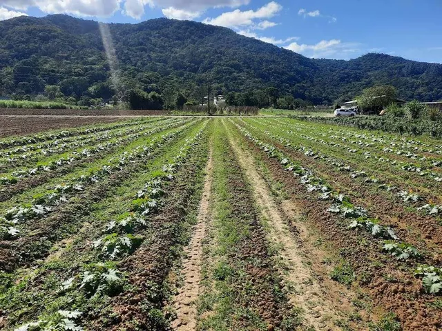 Imagem 11: Terreno à Venda, Plano, Nível da Rua, com 11.089 m2. Sul do Rio, Santo Amaro da
