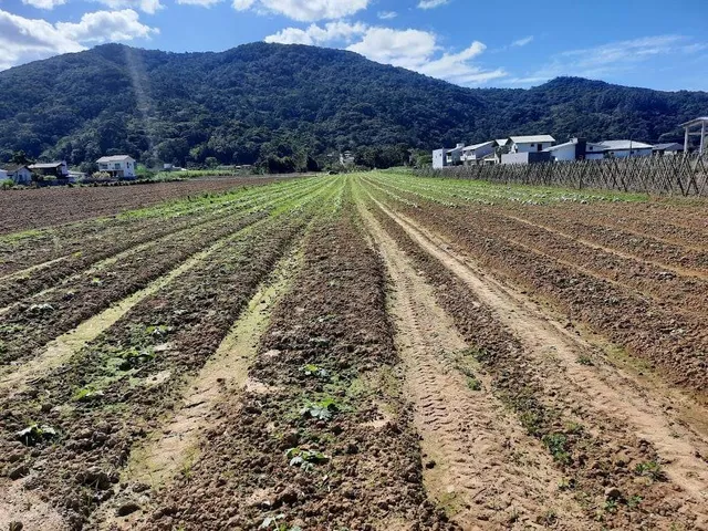 Imagem 5: Terreno à Venda, Plano, Nível da Rua, com 11.089 m2. Sul do Rio, Santo Amaro da