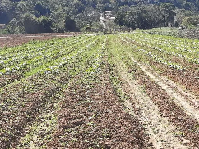 Imagem 8: Terreno à Venda, Plano, Nível da Rua, com 11.089 m2. Sul do Rio, Santo Amaro da