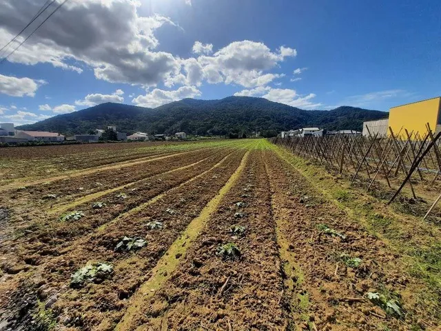 Imagem 12: Terreno à Venda, Plano, Nível da Rua, com 11.089 m2. Sul do Rio, Santo Amaro da