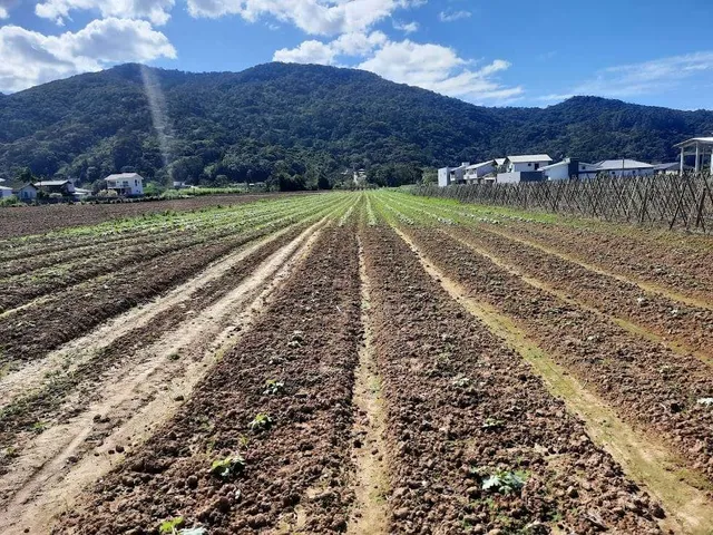 Imagem 15: Terreno à Venda, Plano, Nível da Rua, com 11.089 m2. Sul do Rio, Santo Amaro da