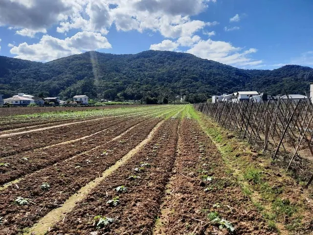 Imagem 6: Terreno à Venda, Plano, Nível da Rua, com 11.089 m2. Sul do Rio, Santo Amaro da