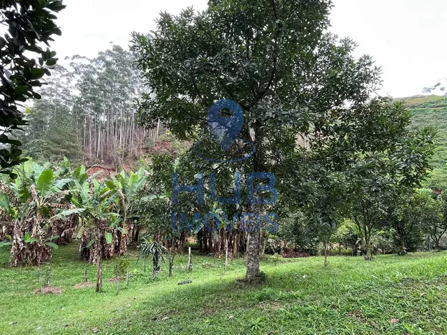 Imagem 13: Sítio com 6 Hectares em Nova Trento