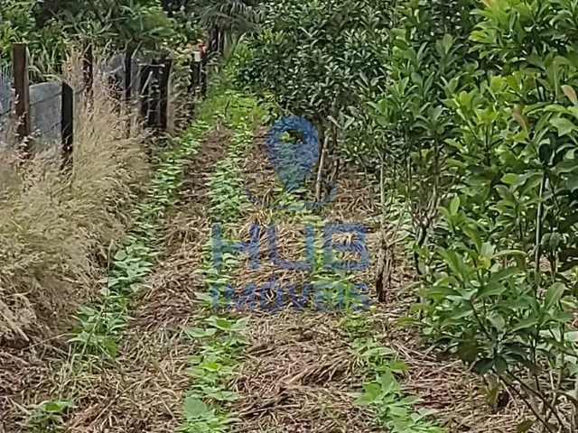 Imagem 6: Sítio com 5.402M2, Casa com 3 Dormitórios , Vila Rural Unidos - Laranjeiras do Sul/Pr