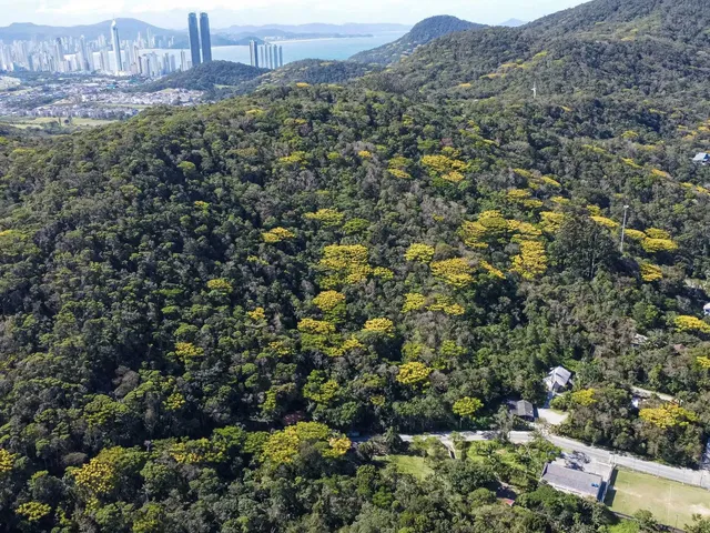 Imagem 4: Terreno no Estaleiro