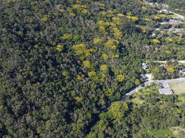 Imagem 5: Terreno no Estaleiro