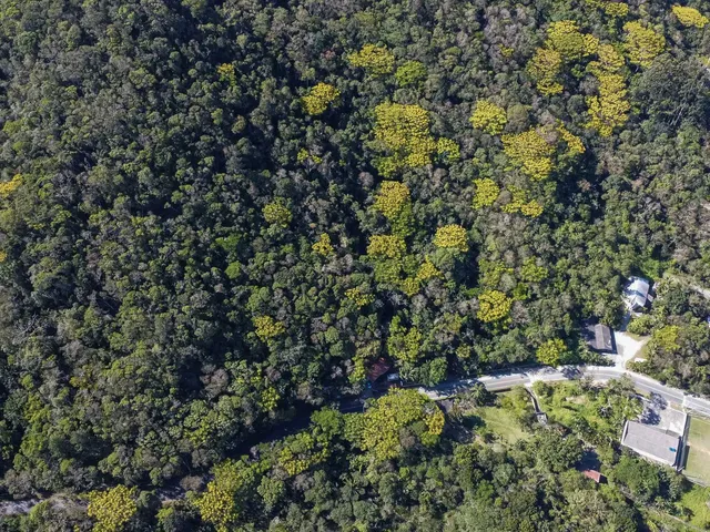 Imagem 6: Terreno no Estaleiro