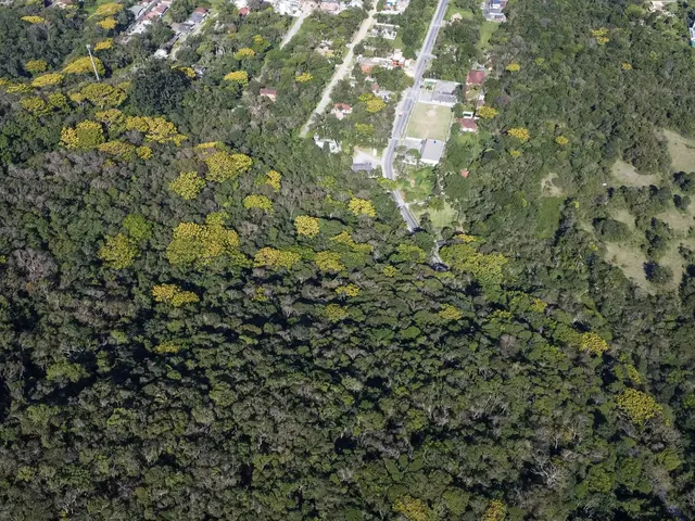 Imagem 7: Terreno no Estaleiro
