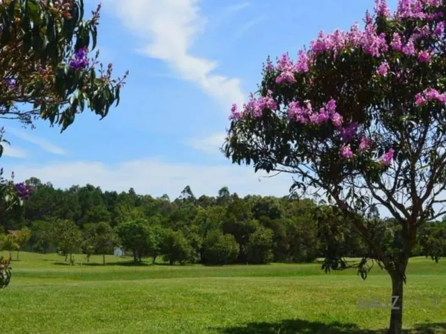 Imagem 6: Terreno, Ingleses do Rio Vermelho - Florianópolis/SC