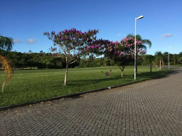Imagem 8: Terreno, Ingleses do Rio Vermelho - Florianópolis/SC