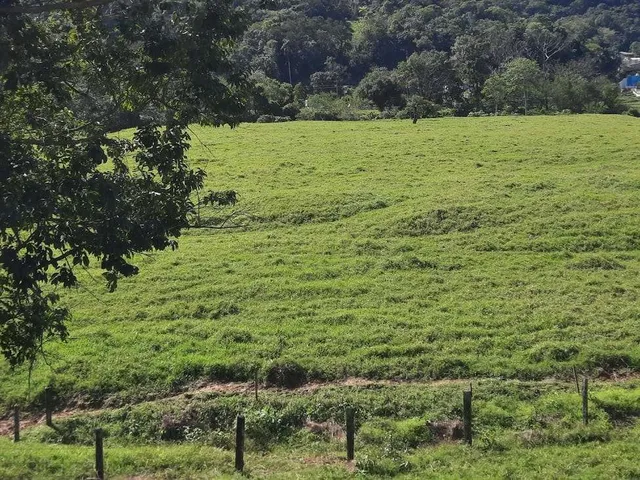 Imagem 8: Terreno À Venda, 36.846 M2, com Viabilidade para Loteamento. Sul do Rio, Santo Amaro da Imperatriz, Sc