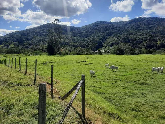Imagem 7: Terreno À Venda, 36.846 M2, com Viabilidade para Loteamento. Sul do Rio, Santo Amaro da Imperatriz, Sc