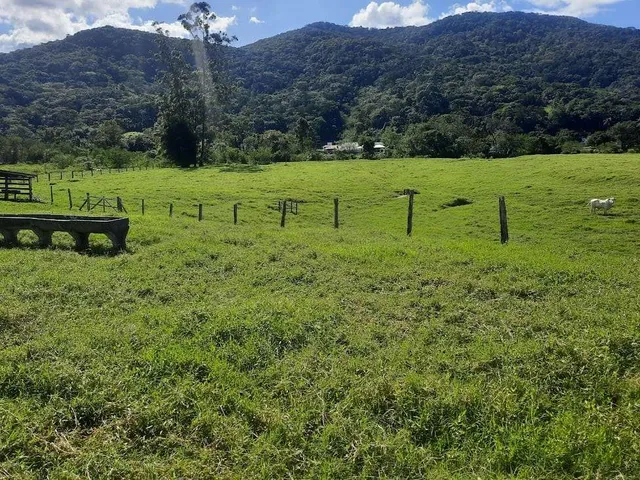 Imagem 6: Terreno À Venda, 36.846 M2, com Viabilidade para Loteamento. Sul do Rio, Santo Amaro da Imperatriz, Sc