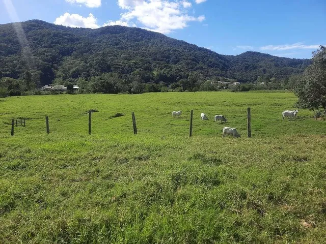 Imagem 9: Terreno À Venda, 36.846 M2, com Viabilidade para Loteamento. Sul do Rio, Santo Amaro da Imperatriz, Sc
