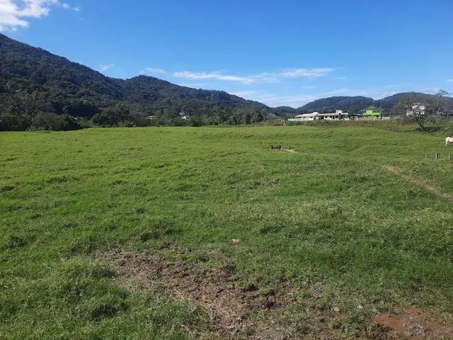 Imagem 3: Terreno À Venda, 36.846 M2, com Viabilidade para Loteamento. Sul do Rio, Santo Amaro da Imperatriz, Sc