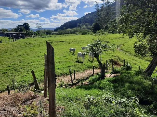 Imagem 4: Terreno À Venda, 36.846 M2, com Viabilidade para Loteamento. Sul do Rio, Santo Amaro da Imperatriz, Sc