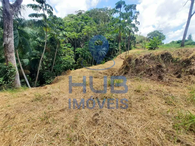 Imagem 15: Terreno À Venda, em Condomínio, 860 M², Pedra Branca, Palhoça/Sc