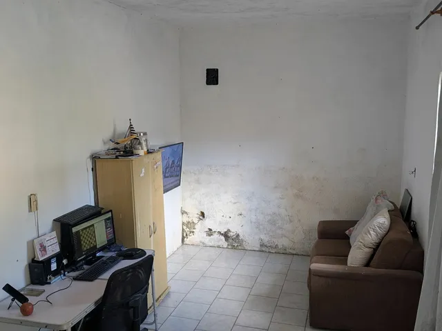 Imagem: Casa padrão à Venda, Ingleses do Rio Vermelho