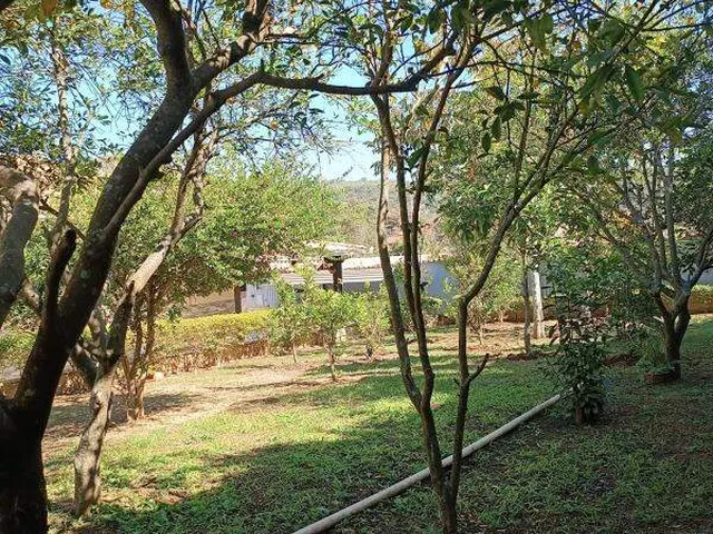 Imagem 6: Sítio à venda em Esmeraldas (Jardim das Oliveiras) – 4 quartos, piscina e espaço