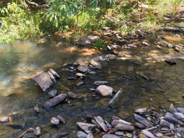 Imagem 2: CHÁCARAS COM 1.000M² EM CORDISBURGO-MG!