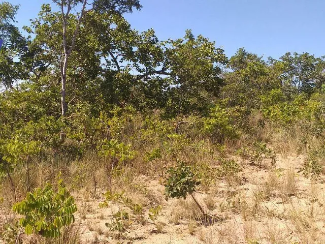 Imagem 9: CHÁCARAS COM 1.000M² EM CORDISBURGO-MG!