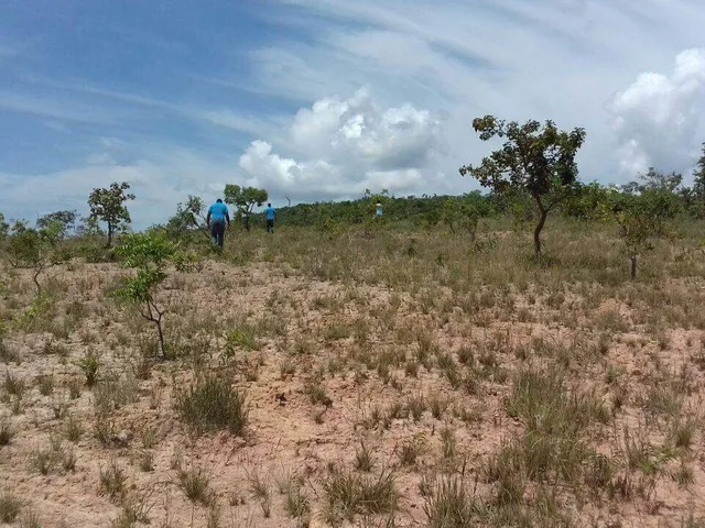 Imagem 6: CHÁCARAS COM 1.000M² EM CORDISBURGO-MG!