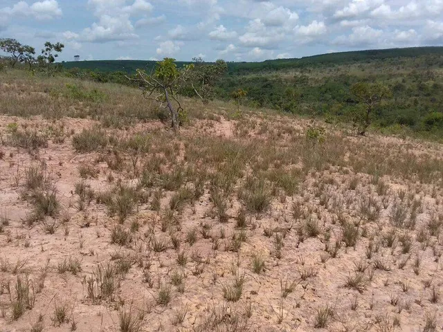 Imagem 12: CHÁCARAS COM 1.000M² EM CORDISBURGO-MG!