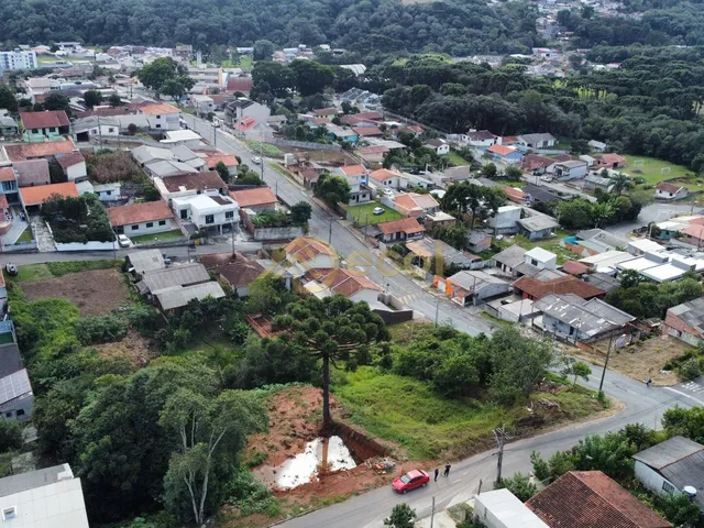 Imagem 6: Excelente terreno à venda ABAIXO DO VALOR DE MERCADO em Campo Largo - JD. Esmeralda