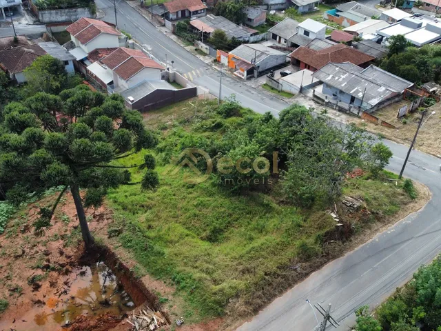 Imagem 5: Excelente terreno à venda ABAIXO DO VALOR DE MERCADO em Campo Largo - JD. Esmeralda