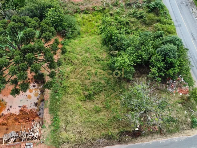 Imagem 2: Excelente terreno à venda ABAIXO DO VALOR DE MERCADO em Campo Largo - JD. Esmeralda