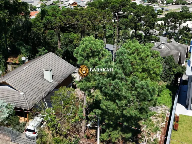 Imagem 5: Terreno à venda no bairro Eugênio Ferreira - Canela/RS