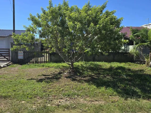 Imagem 11: Imóvel com Amplo Terreno em Coroados – Guaratuba/PR