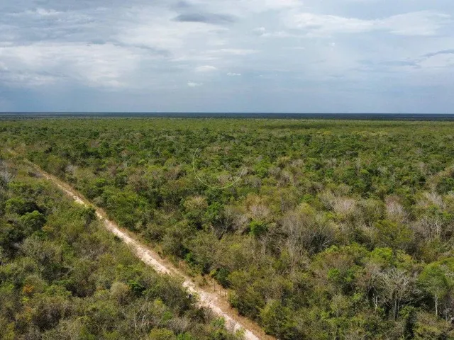 Imagem: Fazenda À Venda em Baianópolis, Zona Rural