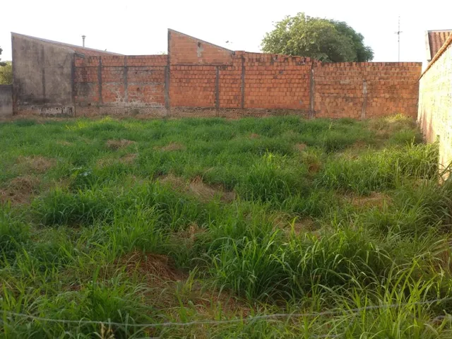 Imagem: Terreno a Venda no Ribeiro, Lins Sp