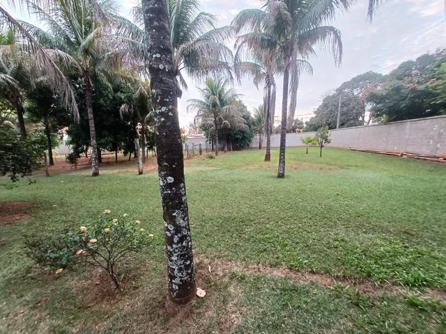 Imagem: Terrenos a venda no Dom Bosco em Guaiçara
