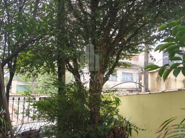 Imagem 2: Casa - Vila Mury