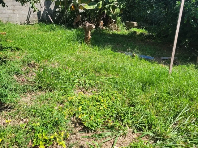 Imagem 7: VENDA DE LOTE NO BRAÚNAS, 360M2 , SEMI PLANO, EXCELENTE LOCALIZAÇÃO, RESIDENCIAL