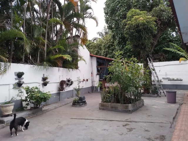 Imagem 15: CASA - RIO DE JANEIRO