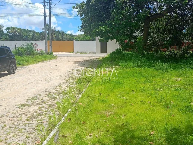 Imagem 4: Terreno Plano bairro urucunema-Eusébio-CE - 8x37,5