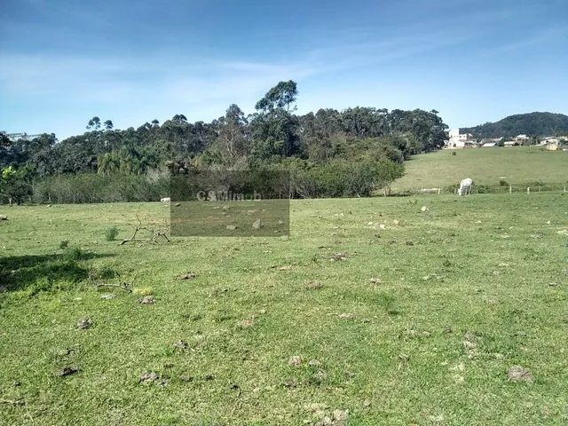 Imagem 13: Terreno para Venda em Nova Brasília Imbituba-Sc