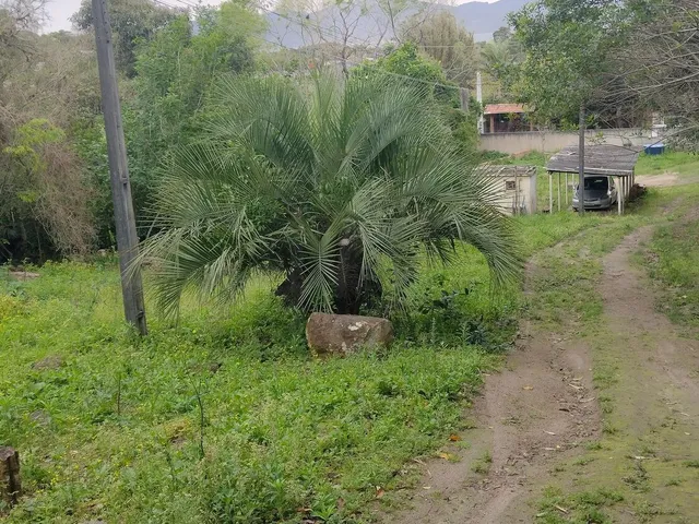 Imagem 11: Terreno À Venda no Bairro Morro do Mirim - Imbituba/Sc