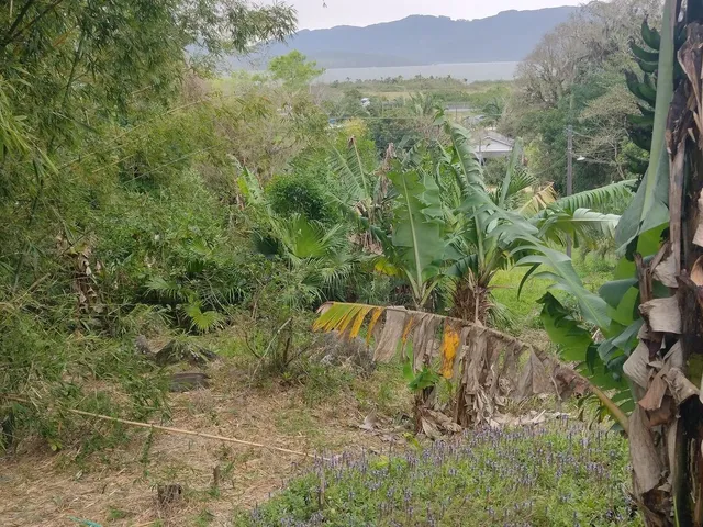Imagem 5: Terreno À Venda no Bairro Morro do Mirim - Imbituba/Sc